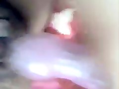 juguetes, peludas