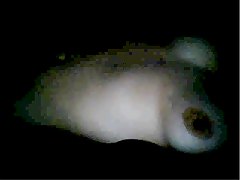 masturbación, webcam, americanas