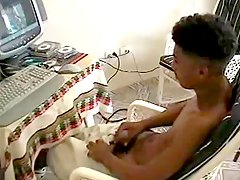 gay