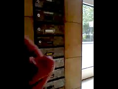publiekelijk vertoon, masturbatie, amateur