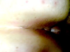 de perto, amadoras, quente, gordinhas (bbw)