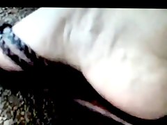 egyedüli, amatőr, latin