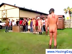 wibrator, tyłek