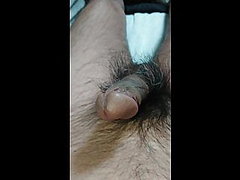 hans penis, brede runde røv, penis, asiatiske, huller